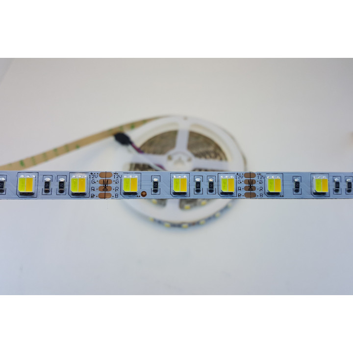 Dual warm and cool white 2-in-1 12 V 10 mm 5 m non-waterproof 5050