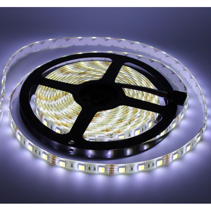 Dual warm and cool white 2-in-1 12 V 10 mm 5 m waterproof IP65 5050